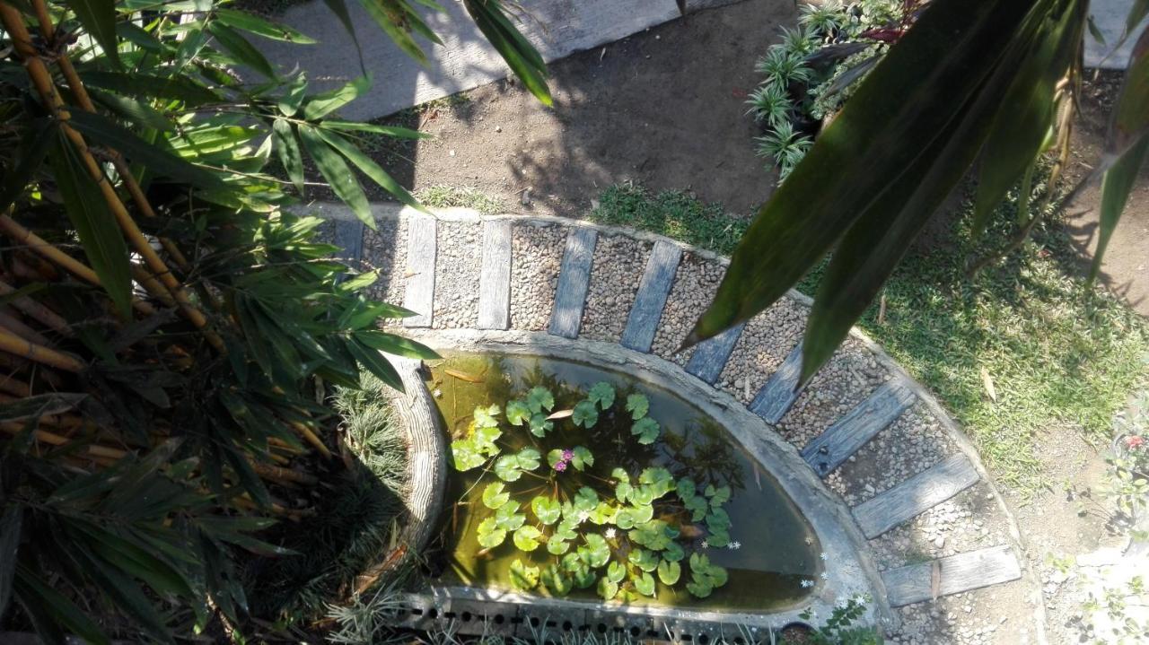 شقة Mango Roots غامباها المظهر الخارجي الصورة